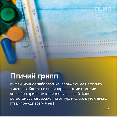 Птицы и суперинфекции: как птицы могут вызвать мировую эпидемию